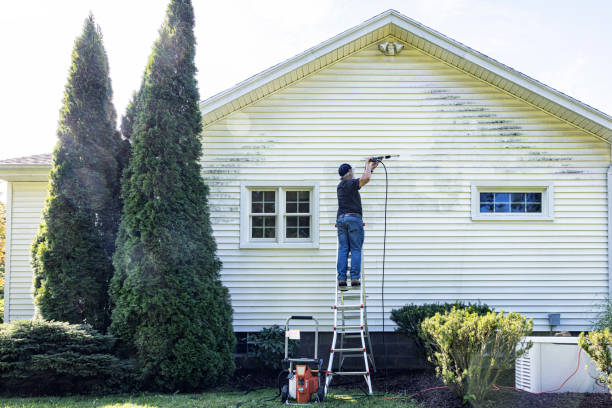 Professional Pressure washing in Edgemont Park, MI